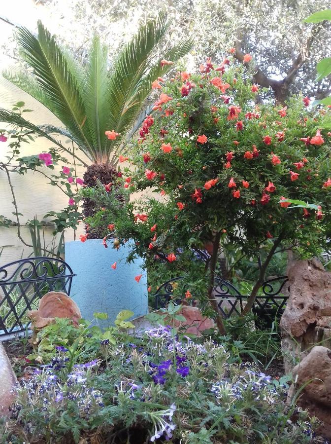 טאולאדה Locazioni Brevi La Rosaviola Guest Rooms מראה חיצוני תמונה